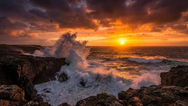 翠绿森林系列影视精彩剧照